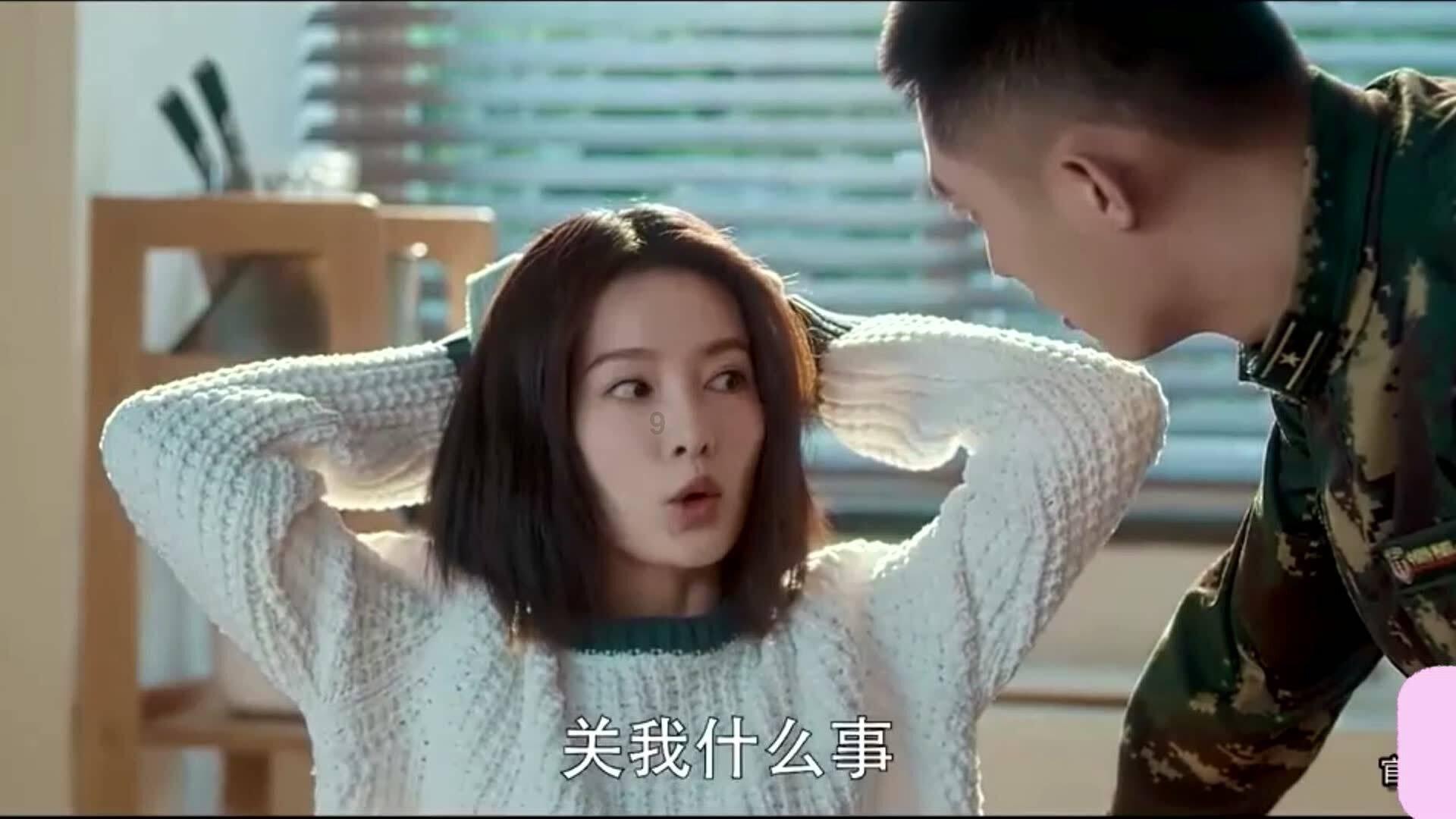 探探猫之飞天萌猫